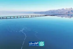 بارش‌ها دریاچه ارومیه را احیا کرد؟