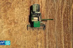 چرخش سیاستی دولت در کشاورزی: از خرید مستقیم تا پرداخت مابه‌تفاوت