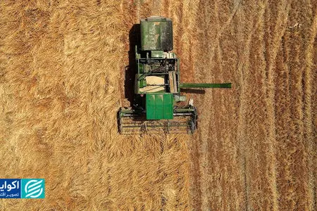 چرخش سیاستی دولت در کشاورزی: از خرید مستقیم تا پرداخت مابه‌تفاوت