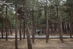 شهرداری به دنبال سرمایه گذار برای ساخت 5هتل در بوستان های جنگلی 