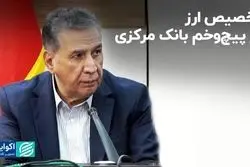 تخصیص ارز در پیچ‌وخم بانک مرکزی