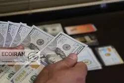 قیمت دلار امروز یکشنبه 19بهمن/ افزایش قیمت + جدول