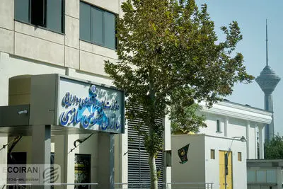 بخش خصوصی واقعی در برابر سرمایه‌داری رفاقتی