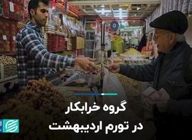 گروه خرابکار در تورم اردیبهشت