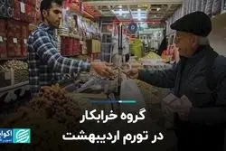 گروه خرابکار در تورم اردیبهشت