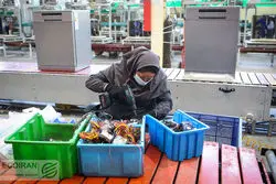 سهم 15 درصدی زنان از بازار کار اقتصاد ایران