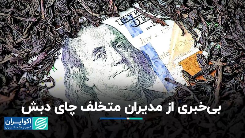 بی‌خبری از مدیران متخلف چای دبش