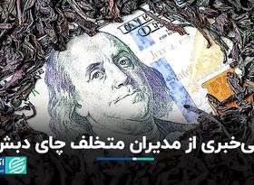 بی‌خبری از مدیران متخلف چای دبش