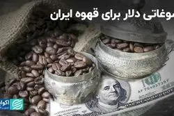 دلار بازار قهوه را هم بی‌نصیب نگذاشت