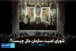  لغت‌نامه جنگ: شورای امنیت سازمان ملل چیست؟ 