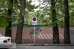 نگرانی از قطع شبانه درختان ولیعصر
