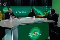 ارجاع مسئله جزایر به لاهه خودزنی است