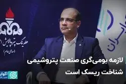 لازمه بومی‌گری صنعت پتروشیمی شناخت ریسک است