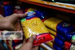 خبر مهم رئیس انجمن حبوبات ایران درباره قیمت حبوبات