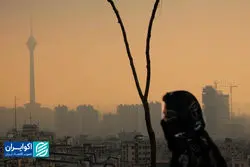 مسکن تعطیلی برای آلودگی هوا تا چه زمانی کار می‌کند؟