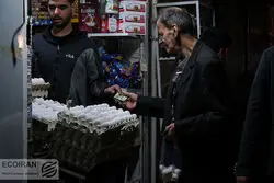 قیمت جدید تخم مرغ اعلام شد/ 77هزار تومان