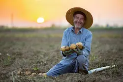 پیر و جوان نمی‌شناسد؛ مشارکت‌اقتصادی روستاییان بالاتر از شهرنشینان