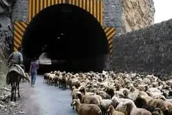 هشدار به مسافران شمال؛ کندوان دو روز کامل بسته است