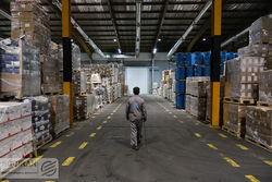 تحریم عامل عقب افتادگی ایران در تنوع سازی اقتصادی