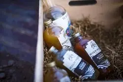 از فلفل‌های برشته تا یک برند موفق؛ چگونه میراث خانوادگی به ثروتی بزرگ تبدیل شد