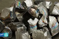 دنیای کامودیتی | بازاری نوظهور که روزافزون گسترش می‌یابد