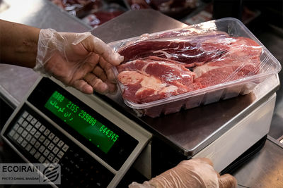 کنترل واردات گوشت قرمز با ارز ترجیحی؛ سقف ۷ درصد