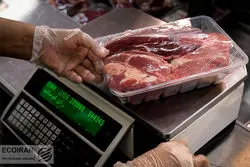 افزایش ۱۸ درصدی عرضه گوشت قرمز در بازار