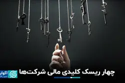 چهار ریسک کلیدی مالی شرکت‌ها