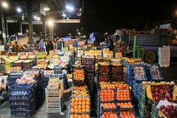 اعلام شروط صادرات محصولات کشاورزی به روسیه