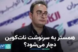 همستر به سرنوشت نات‌کوین دچار می‌شود‌؟