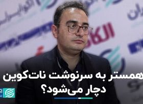 همستر به سرنوشت نات‌کوین دچار می‌شود‌؟