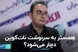 همستر به سرنوشت نات‌کوین دچار می‌شود‌؟