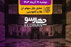 افزایش سرمایه دولت در بانکها /  وزارت نفت مکلف است سوخت مایع به نیروگاه‌ها تحویل دهد