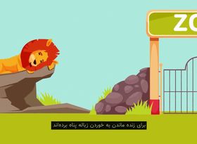 در ونزوئلا چه خبر است؟ 