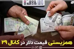 همزیستی قیمت دلار در کانال ۲۹
