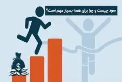 تاثیر سود در عملکرد سازمان ها و بنگاه های اقتصادی چیست؟