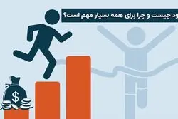 تاثیر سود در عملکرد سازمان ها و بنگاه های اقتصادی چیست؟