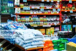 کمبودی در کالای اساسی نداریم/ جدیدترین وضعیت تامین کالا از زبان رییس اتاق اصناف