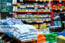 کمبودی در کالای اساسی نداریم/ جدیدترین وضعیت تامین کالا از زبان رییس اتاق اصناف