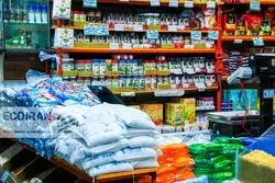 کمبودی در کالای اساسی نداریم/ جدیدترین وضعیت تامین کالا از زبان رییس اتاق اصناف