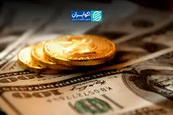 دلار، سکه و طلا در یک ماه پرماجرا؛ از جهش 6 درصدی تا سقوط قیمت‌ها