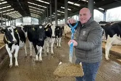 این کشور، هزاران خانه را با فضولات گاو گرم می‌کند 