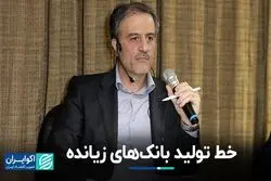 خط تولید بانک‌های زیانده