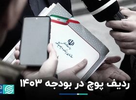 ردیف پوچ در بودجه ١۴٠٣/ نامه جعلی برای دریافت ۱۰۰ همت از فرزین