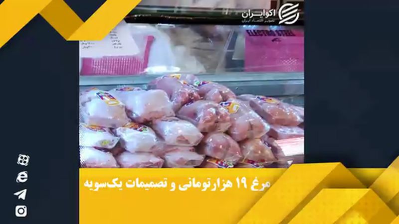 گرانی مرغ و سیاست های اشتباه