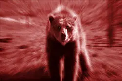 از سکه افتادن بازارهای کالایی در نیمه سال 2022