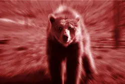 از سکه افتادن بازارهای کالایی در نیمه سال 2022