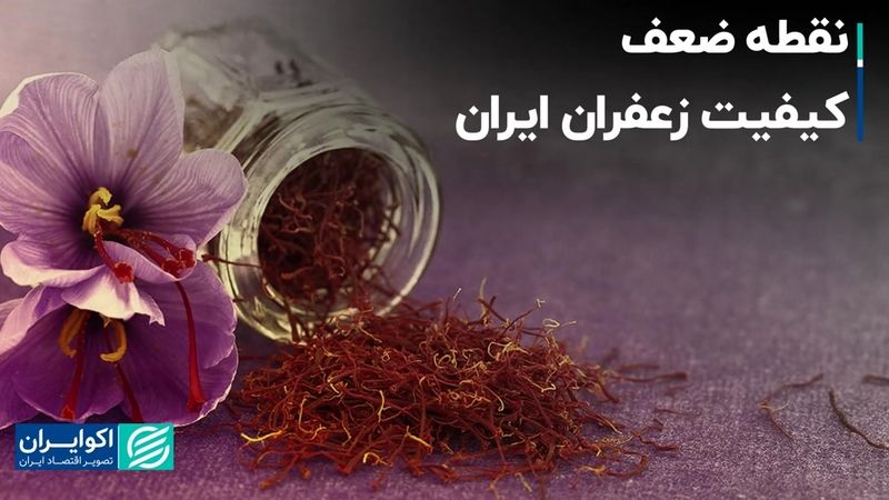 نقطه ضعف کیفیت زعفران ایران