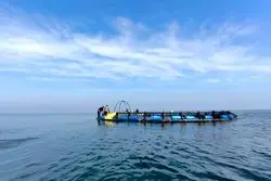 جزئیات حمله به کشتی ایرانی در دریای خزر اعلام شد