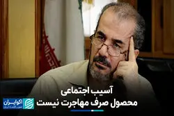 آسیب اجتماعی محصول صرف مهاجرت نیست